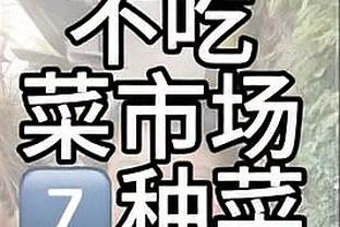 开云app官网入口登陆截图4